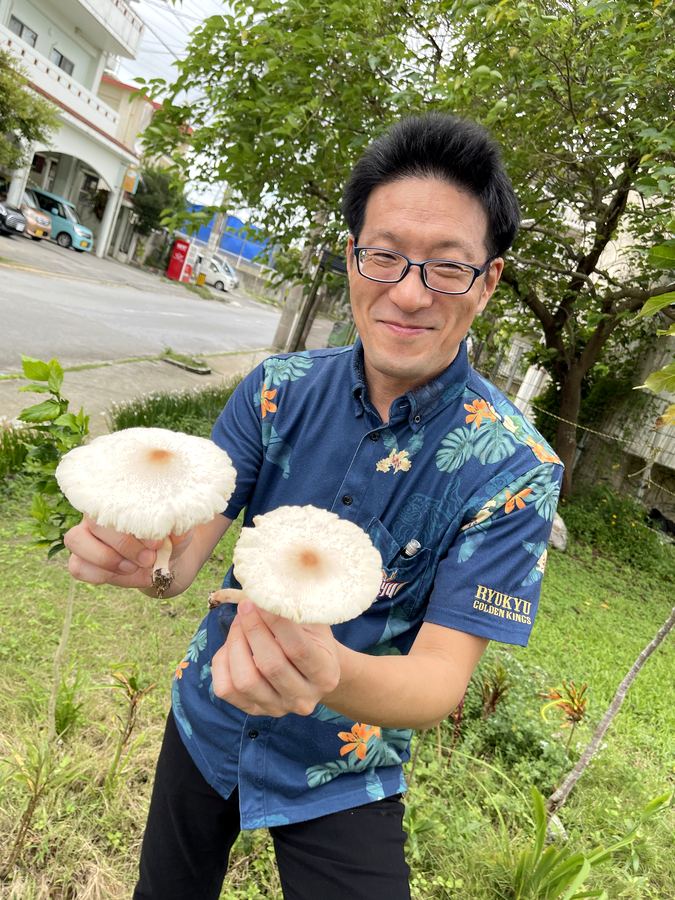 散歩道で見つけたきのこと長野院長